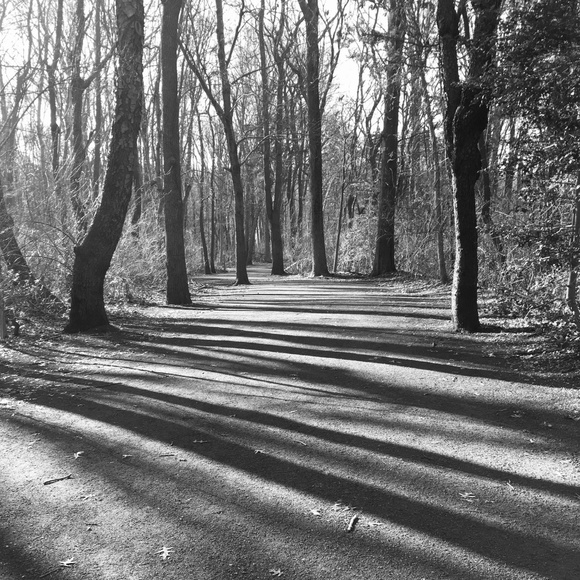 Meet your Posher, Nancy - Picture 1 of 2